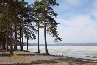 Similar image 1265394