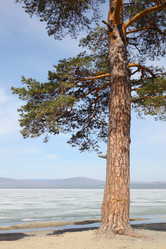 Similar image 1265395