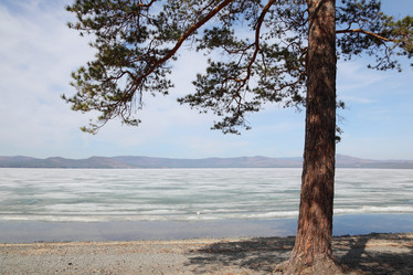 Similar image 1265396