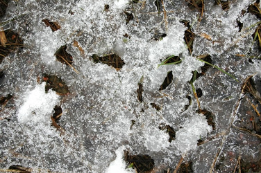 Similar image 1265423