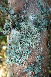 Similar image 1265424