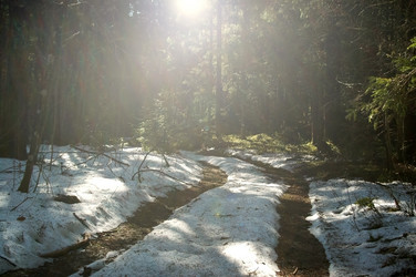 Similar image 1265425