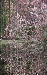 Similar image 1265426