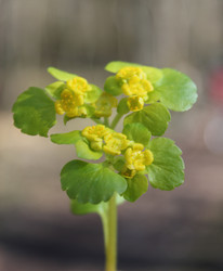 Similar image 1265502