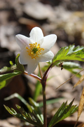 Similar image 1265504