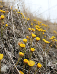 Similar image 1265505