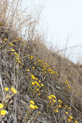 Similar image 1265506