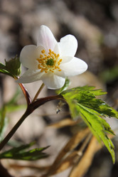 Similar image 1265509