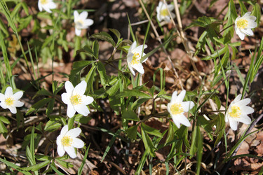 Similar image 1265510