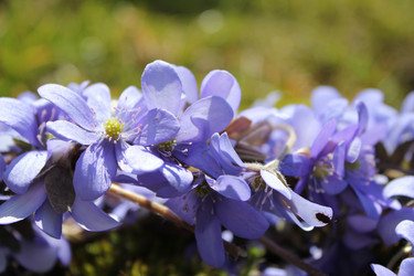 Similar image 1265513