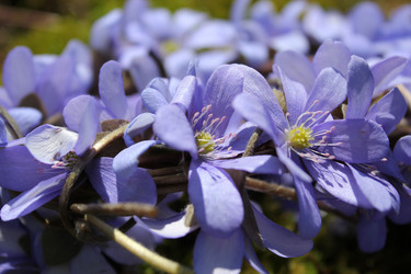 Similar image 1265514