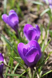 Similar image 1265515