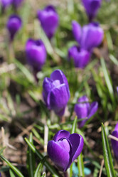 Similar image 1265516