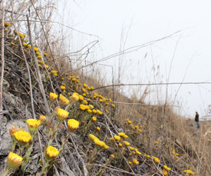 Similar image 1265518