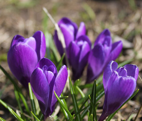 Similar image 1265522