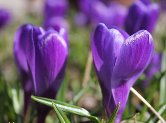 Similar image 1265523