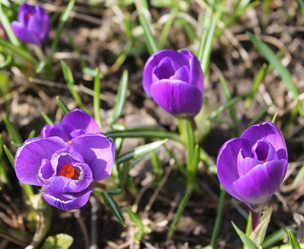 Similar image 1265524