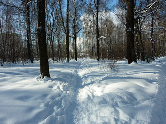 Similar image 1265533