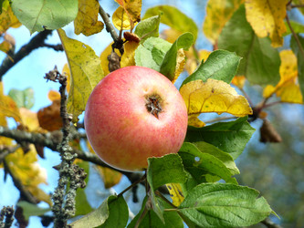 Similar image 1265536