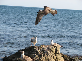 Similar image 1265538