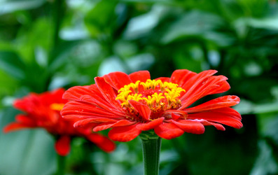 Similar image 1265541