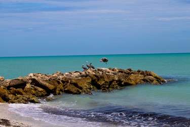 Similar image 1265558