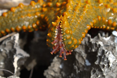 Similar image 1265559