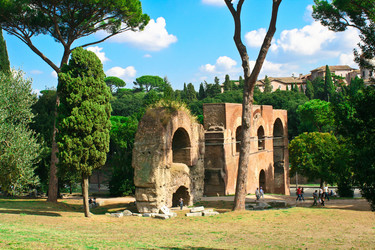 Similar image 1265563