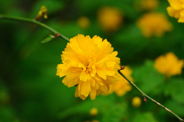 Similar image 1265574