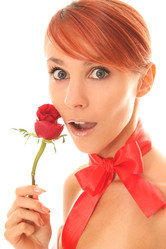 Similar image 1265591