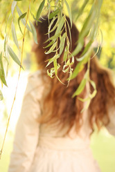 Similar image 1265599