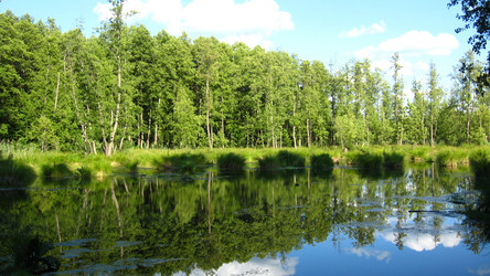 Similar image 1265847