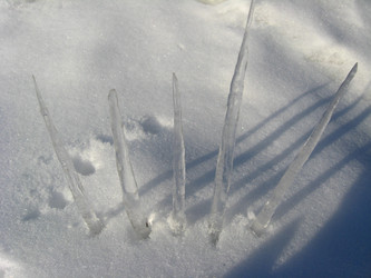 Similar image 1265859