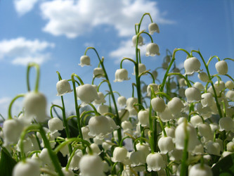 Similar image 1265871