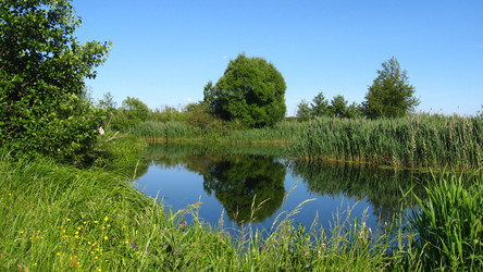 Similar image 1265885