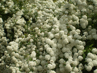 Similar image 1265888