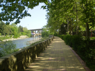 Similar image 1265889