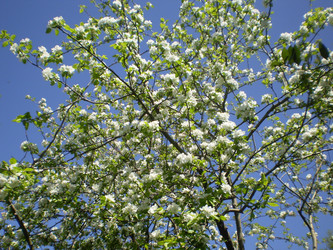 Similar image 1265891