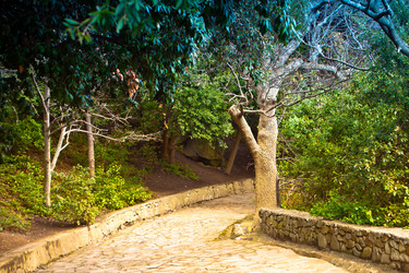 Similar image 1265907