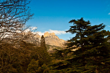 Similar image 1265909