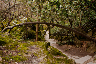 Similar image 1265911