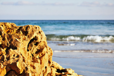 Similar image 1265913