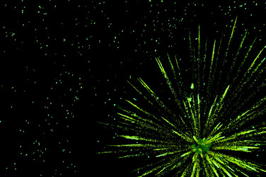 Similar image 1265914