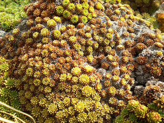 Similar image 1265916