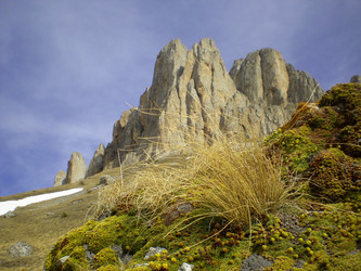 Similar image 1265922