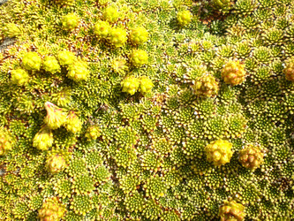 Similar image 1265923