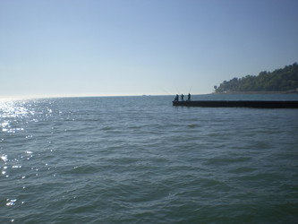 Similar image 1265924