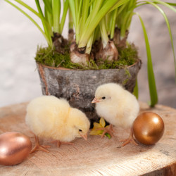 Similar image 1265925