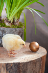 Similar image 1265927