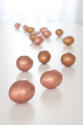 Similar image 1265928